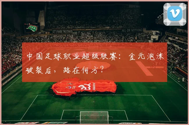 中国足球职业超级联赛：金元泡沫破裂后，路在何方？
