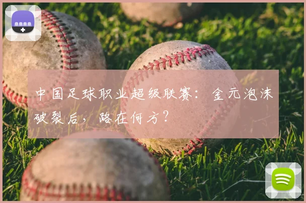 中国足球职业超级联赛:金元泡沫破裂后,路在何方?